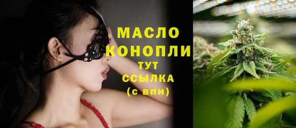 тгк Новодвинск