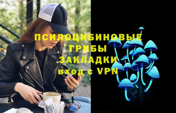 трава Няндома
