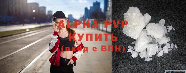 тгк Новодвинск