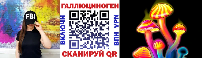 гидра ССЫЛКА  shop телеграм  Псилоцибиновые грибы GOLDEN TEACHER  Выборг 
