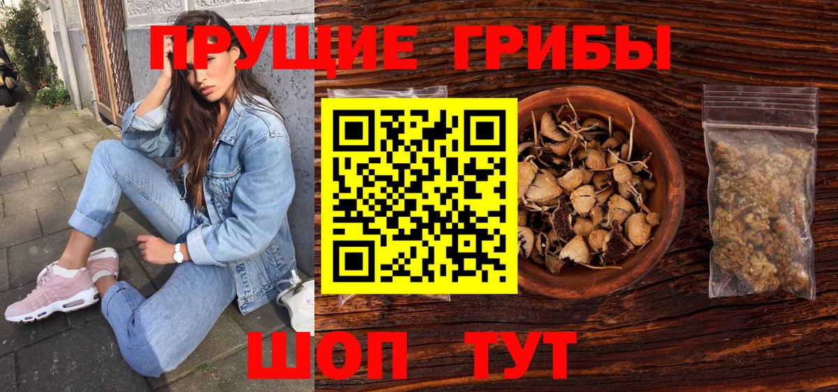 Галлюциногенные грибы мицелий  Вход с VPN  Галлюциногенные грибы прущие грибы  Выборг 